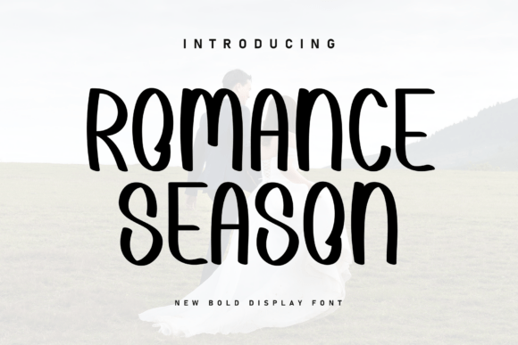 Romance Season Font for Web Design