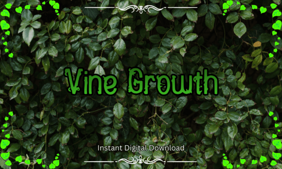 Vine Growth Font for Natural Branding